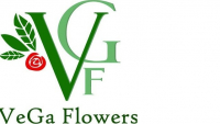 Цветочный салон VeGa Flowers
